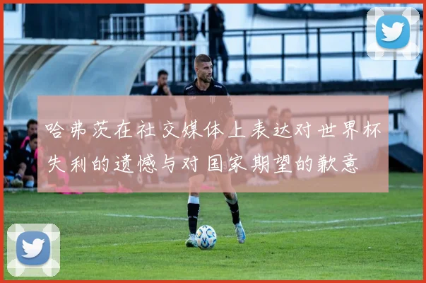 哈弗茨在社交媒体上表达对世界杯失利的遗憾与对国家期望的歉意