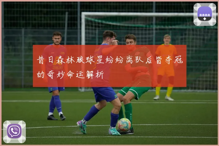 昔日森林狼球星纷纷离队后皆夺冠的奇妙命运解析